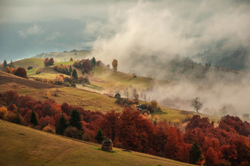 Autumn in the Carpathians