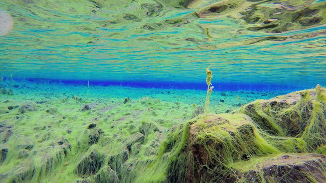 Iceland Silfra Thingvellir National Park Tectonic Plates underwater 