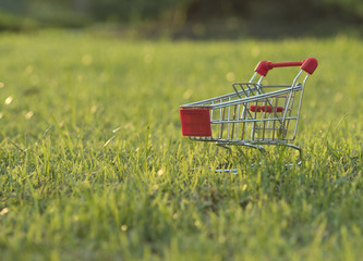 shopping cart on grass in the evening focus-blur background