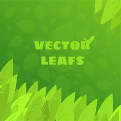 Green leafs background vector illustration