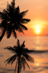 Fototapeta na wymiar Coconut trees silhouette background sunset.