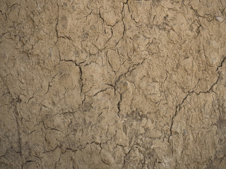Dry ground cracks