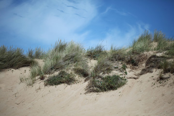 Dünen mit Gras und Himmel