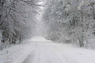 Empty snow covered road in winter landscape, Winter Driving - Winter Road