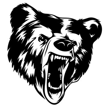 Bear 002