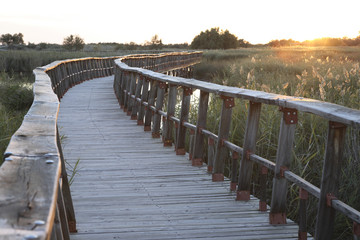 Wooden Bridge at Dusk