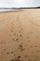 Footprints across a sandy beach in Jersey