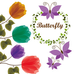 beautiful butterflies design 