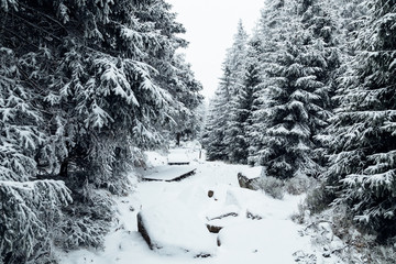 Verschneiter Bretterweg am Eckerlochstieg zum Brocken