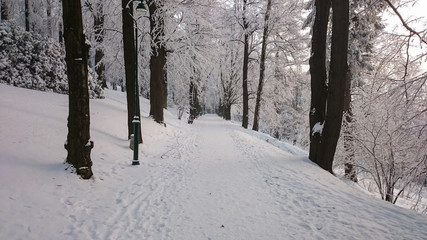 Winter road in mountains