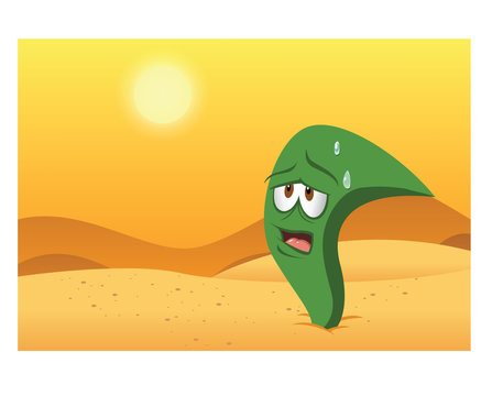 cartoon vector illustration of a desert plant
