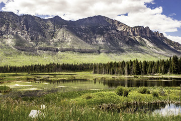 Flooded Meadow, Wyoming