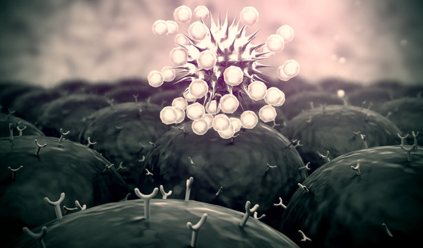 field of cells, field of cells with receptors, Human Immune System attack the virus