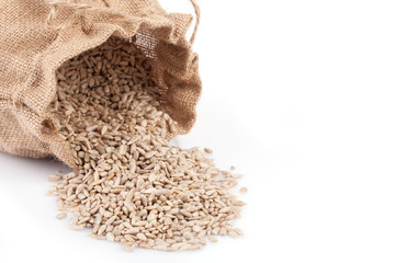 Shelled Sunflower Seeds Closeup