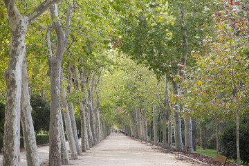 Retiro Park, Madrid, Spain