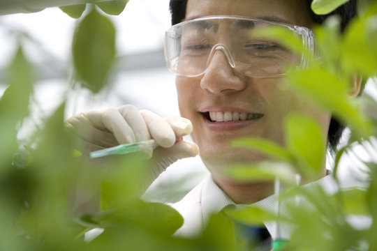 Scientists doing research in modern farm