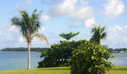Fototapeta na wymiar Ocean view at the garden in Miami beach