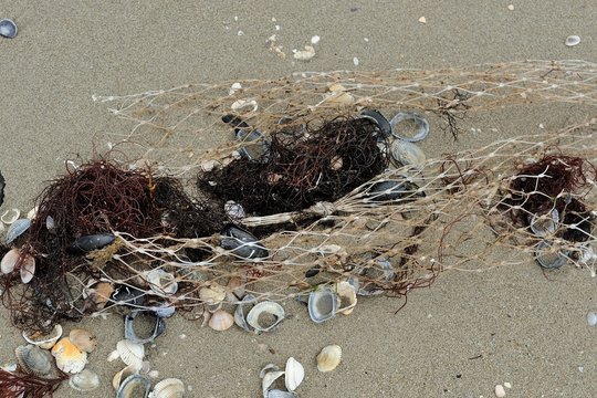 Plastic pollution sea