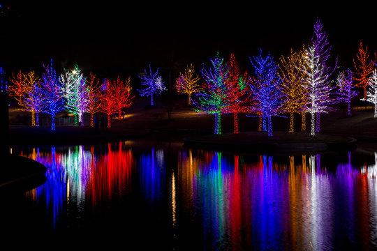Colored Lights / Beautiful trees in a waterside park or garden covered with brightly colored lights.