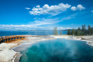 Natural hot spring, Yellowstone National Park - obrazy, fototapety, plakaty