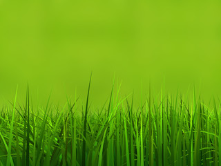 Conceptual green 3d grass field or lawn on green background
