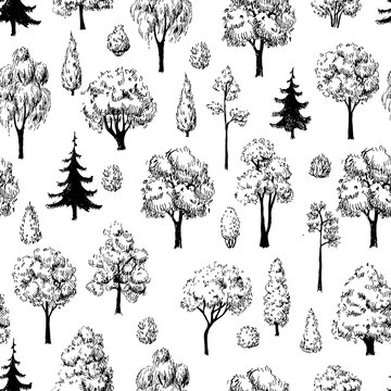 Seamless hand drawn tree sketches pattern.
