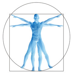 Vitruvian human or man as a concept, metaphor conceptual 3d proportion anatomy body isolated