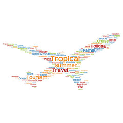 Fototapeta na wymiar Concept or conceptual colorful plane silhouette travel tourism text word cloud