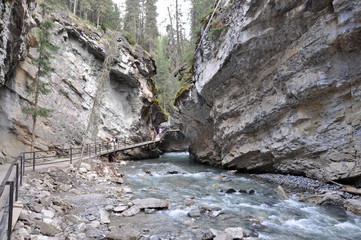 Water flows in the rockies, Alberta, Canada