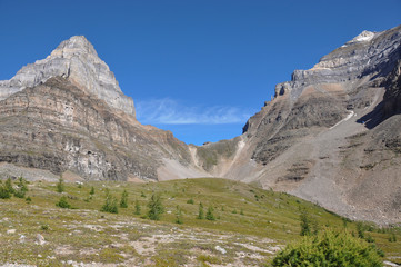 Fototapeta premium Temple pass trail in Banff National Park, Alberta, Canada