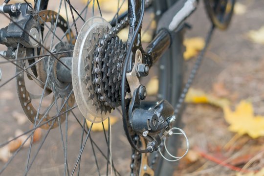 disk brakes by bicycle. a wheel with a chain of a vklosiped