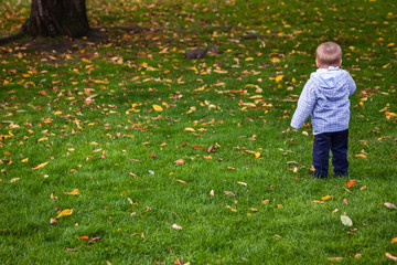 Boy in the park in autumn © Pav-Pro Photography 
