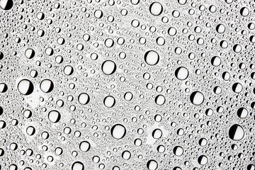 Water drops on transparent glass background.