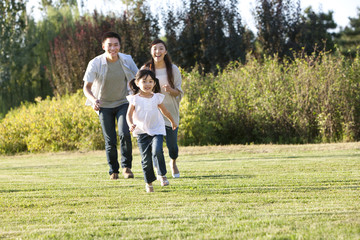 Young Chinese family running in a field