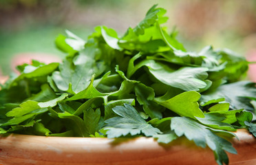 Italian Parsley