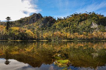 Obraz premium Trekking in Reserva El Cani, near Pucon, Chile