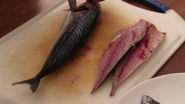 Chef cutting mackerel fillets / cutlets using sharp fillet kitchen knife; close up; 