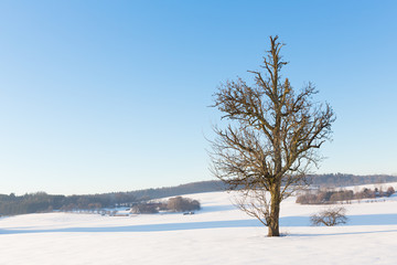 Blauer Himmel und schneebedeckte Landschaft