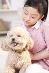 Little girl playing with a pet toy poodle