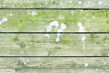 holzbretter hintergrund vogelscheisse I