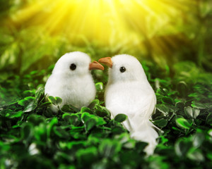 Two little birds in love looking at each other on the background of nature
