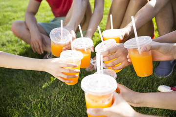 Cheerful young adults toasting with juice on grass