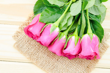 Pink roses on wooden.