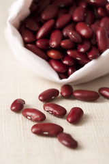Close-up of red kidney bean