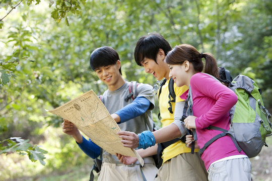 Hikers Using A Map