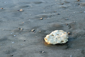 Stone on sand in the morning