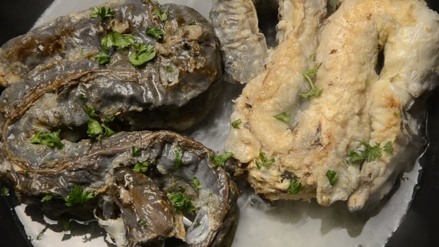 Anguilla europea Europeisk &aring;l Anguilla marinata Rečna jegulja Capitone Речной угорь 歐洲鰻鱺 &Uacute;hor eur&oacute;psky Węgorz europejski Anghilă europeană Anguille d'Europe eel Eur&oacute;pai angolna צלופח אירופי 