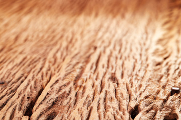wooden texture