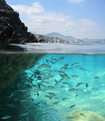 Fototapety na wymiar - Fototapeta24.pl