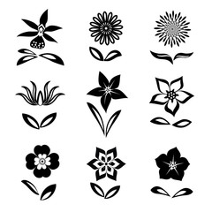 Flower set. Black silhouettes on white background.  Isolated symbols of flowers and leaves. Vector